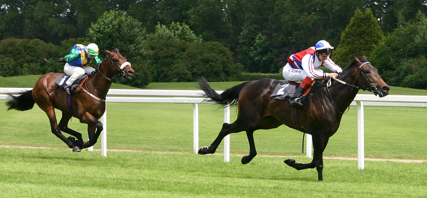 Photo of horses racing