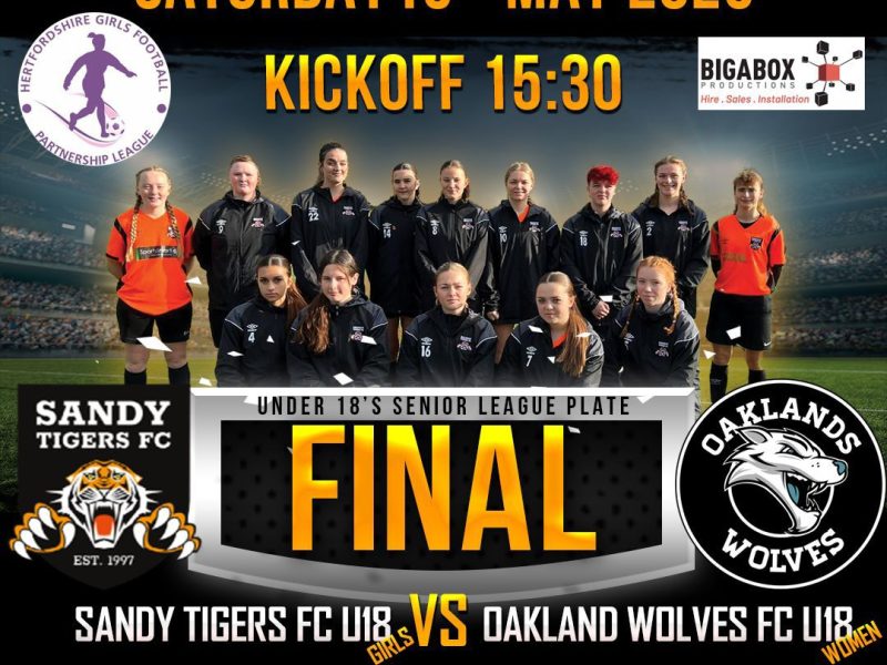 Girls make the final